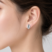 Load image into Gallery viewer, Diamonds Jewellery Earrings
