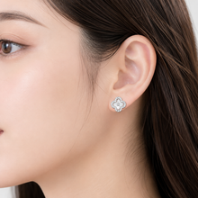 Load image into Gallery viewer, Diamonds Jewellery Earrings

