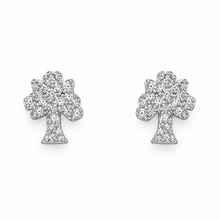 Load image into Gallery viewer, Diamond Jewellery Earrings

