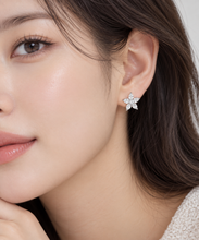 تحميل الصورة إلى عارض المعرض، Diamond Jewellery Earrings
