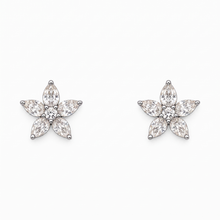 تحميل الصورة إلى عارض المعرض، Diamond Jewellery Earrings
