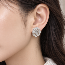 تحميل الصورة إلى عارض المعرض، Diamond Jewellery Earrings
