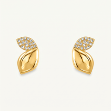 Load image into Gallery viewer, Diamonds Jewellery Earrings

