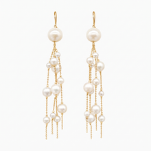 Load image into Gallery viewer, Pearl Jewellery Earrings
